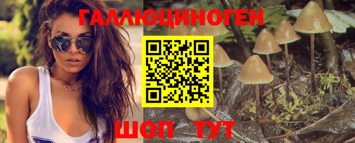 Псилоцибиновые грибы прущие грибы Партизанск
