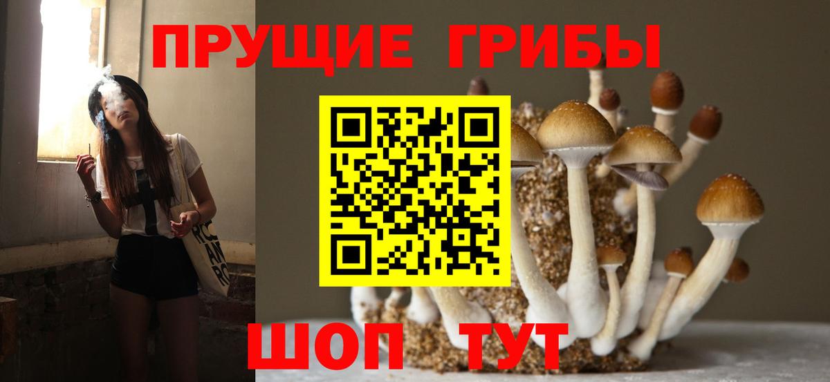 Партизанск  Галлюциногенные грибы ЛСД  наркотики  Вход с VPN 